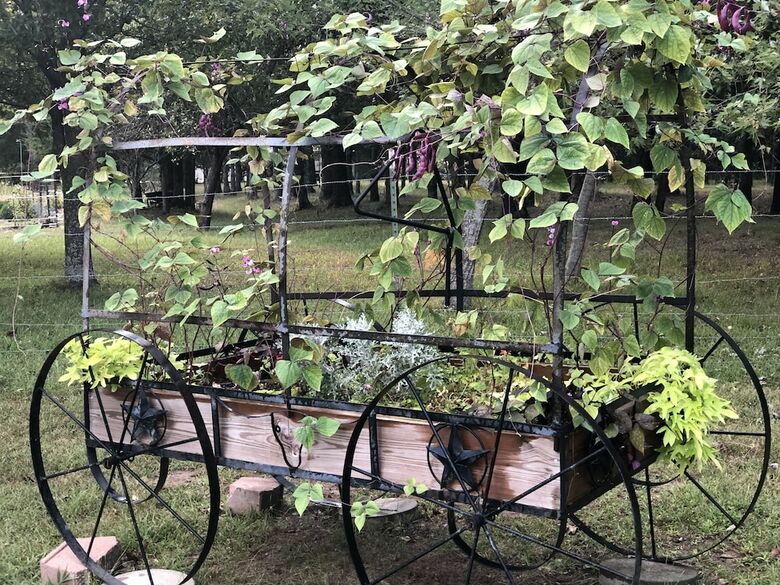 Bed & Breakfast Swan Song Inn