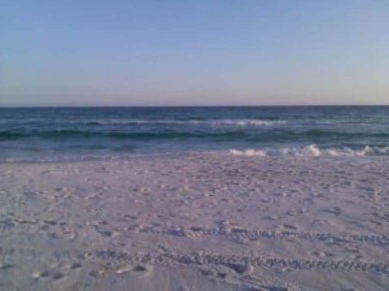 Hotel Seagrove Guest House