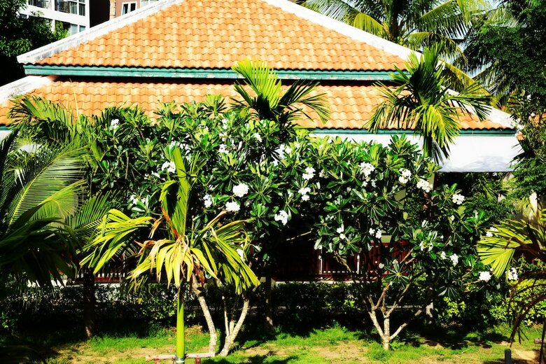 Hotel Jazz U Garden Resort