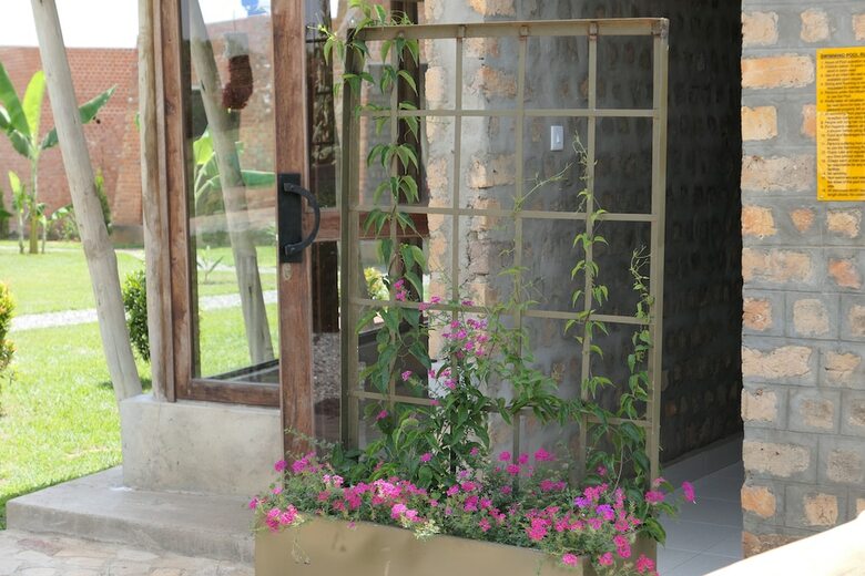 Posada Buvi Lodge