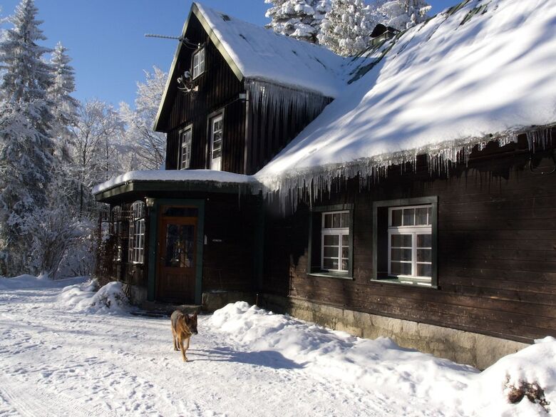 Apartamentos Lesniczowka Willa Anna