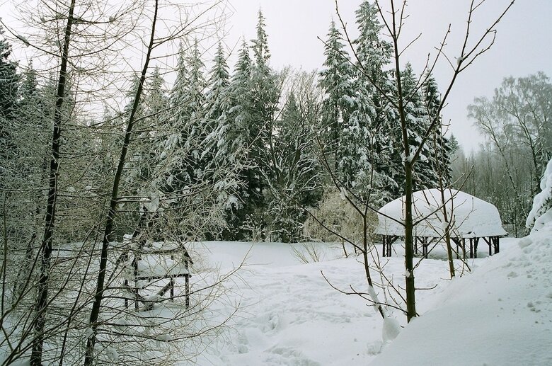 Apartamentos Lesniczowka Willa Anna