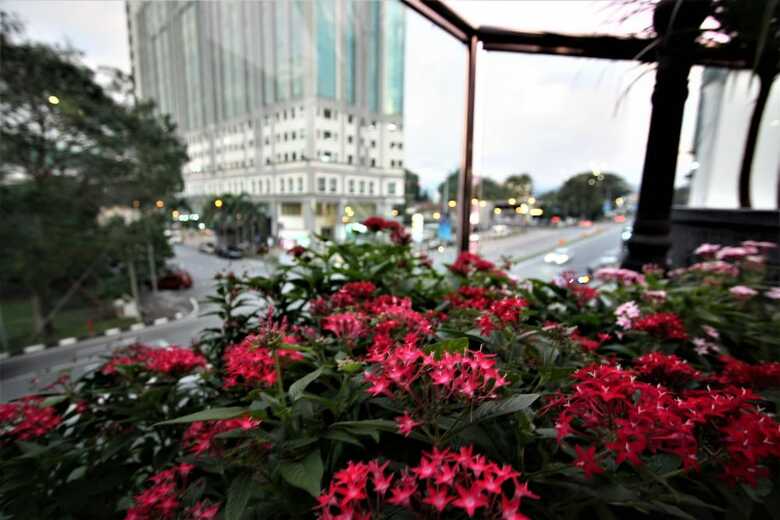Hotel Shamrock Garden