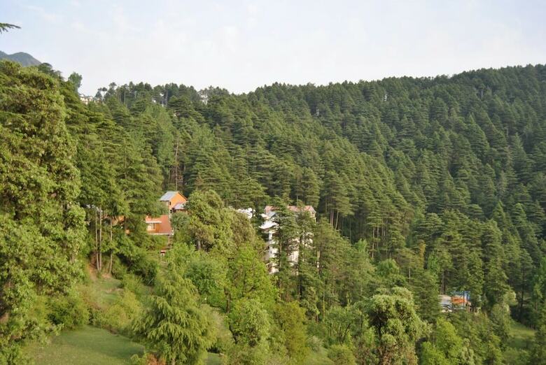 Hotel Dogra Residency Bar And Resturant