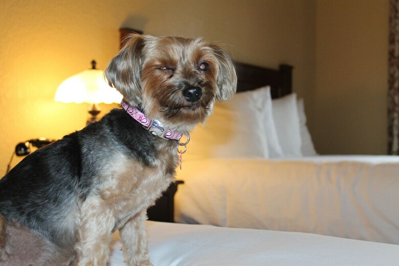 Chase On The Lake Resort Hotel