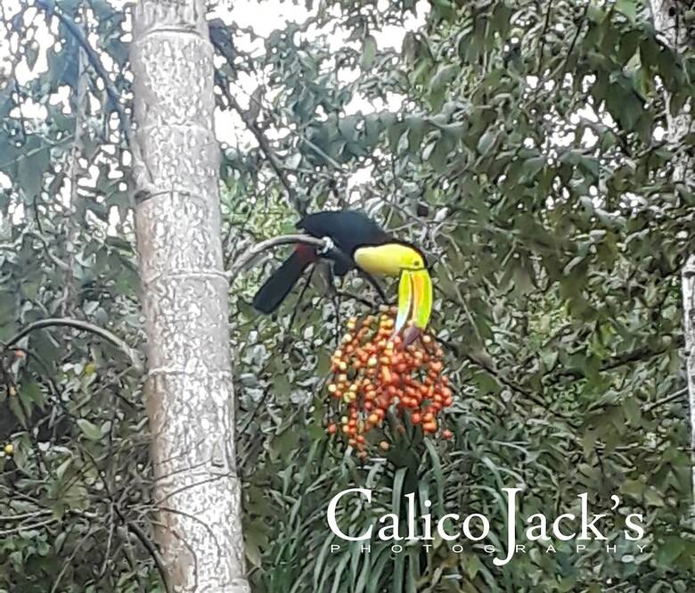 Posada Calico Jack's Village