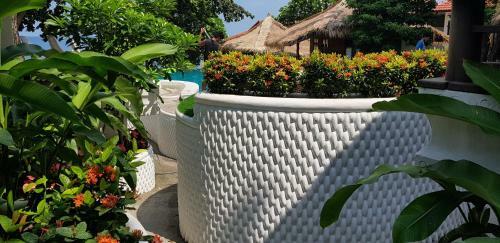 Hotel Clear View Resort