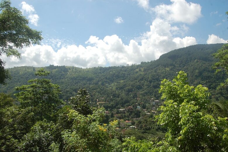 Bed & Breakfast Green View Home Stay