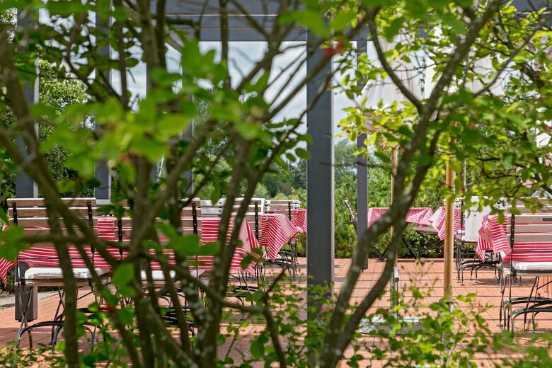 Hotel Der Wilde Schwan