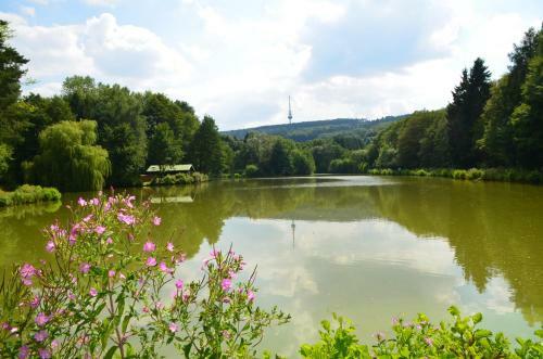 Hk-hotel Der J�gerhof Willebadessen