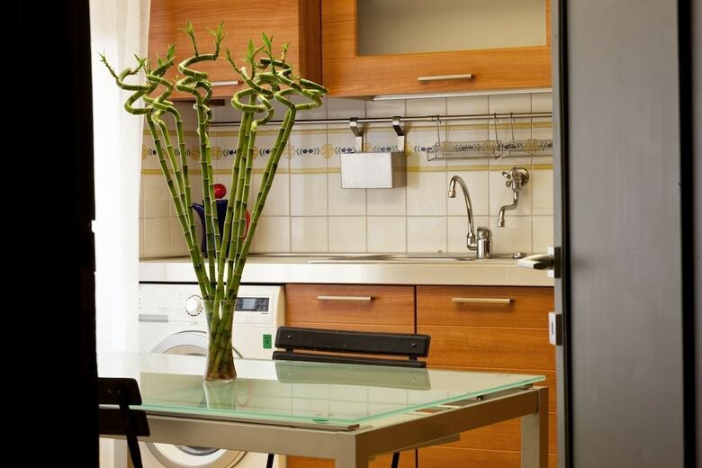 Apartamento Palazzo Giorgi