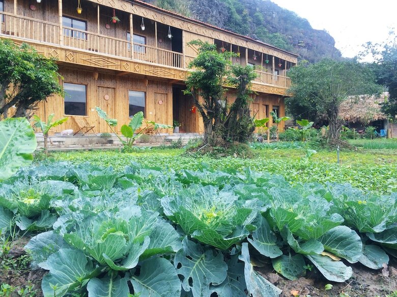 Hostal Ham Rong Homestay