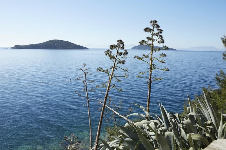 Apartamento Elivi Skiathos