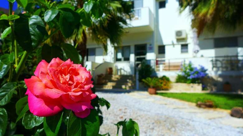 Apartamentos Lion-suites