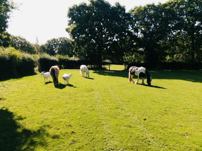 Acorns Barn