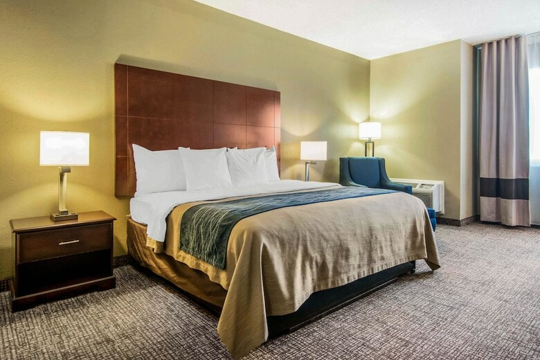 Hotel Comfort Inn Atlanta Downtown South