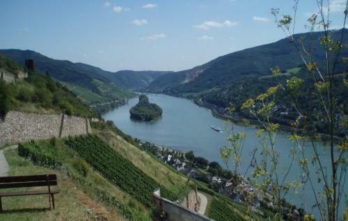 Apartamento Weingut Theodor Nies