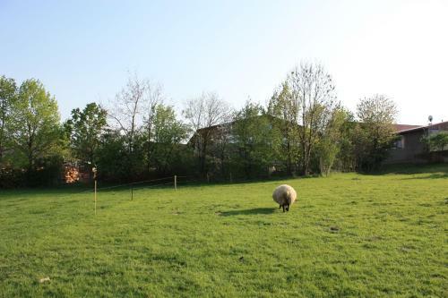 Landhotel Rosensch�nke