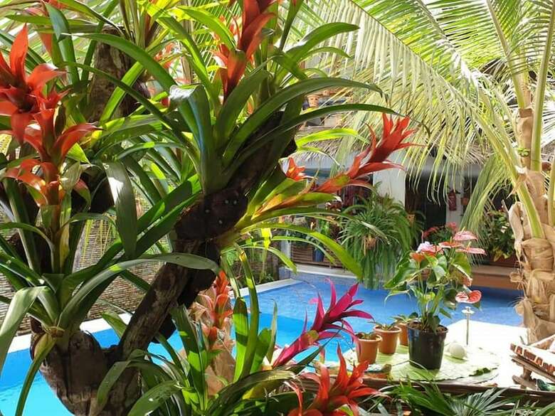 Aparthotel R�sidence Ecologe