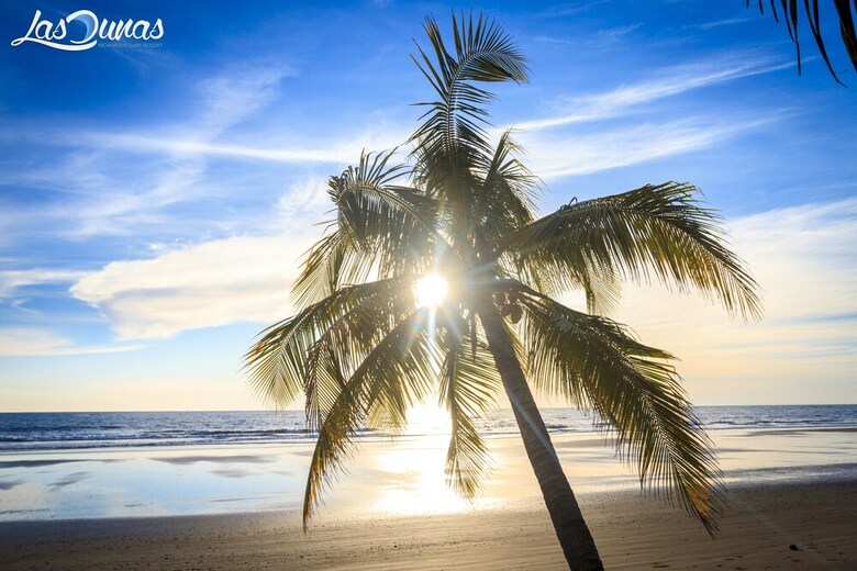Hostal Las Dunas Surf Resort - Hostel