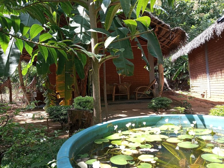 Apartamentos Sandalwood Cottage