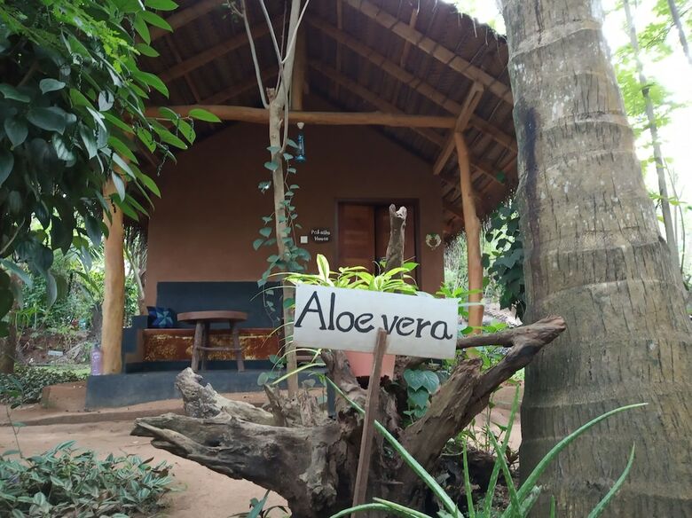 Apartamentos Sandalwood Cottage