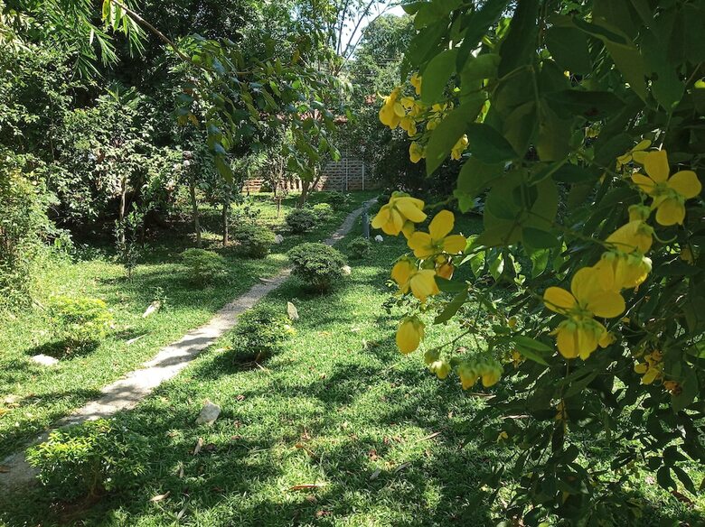 Apartamentos Sandalwood Cottage