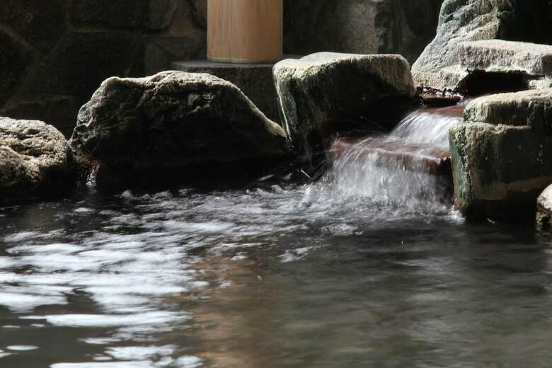 Hotel Hoshikawakan
