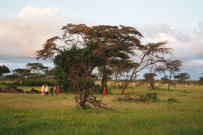 Leopard Hill