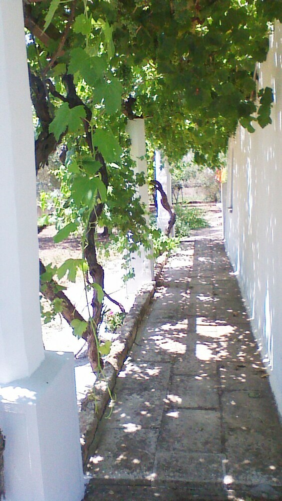 Agroturismo Antico Casolare Di Campagna