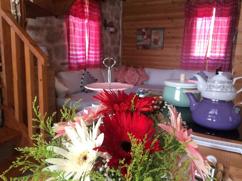 Villa Ambar Evleri