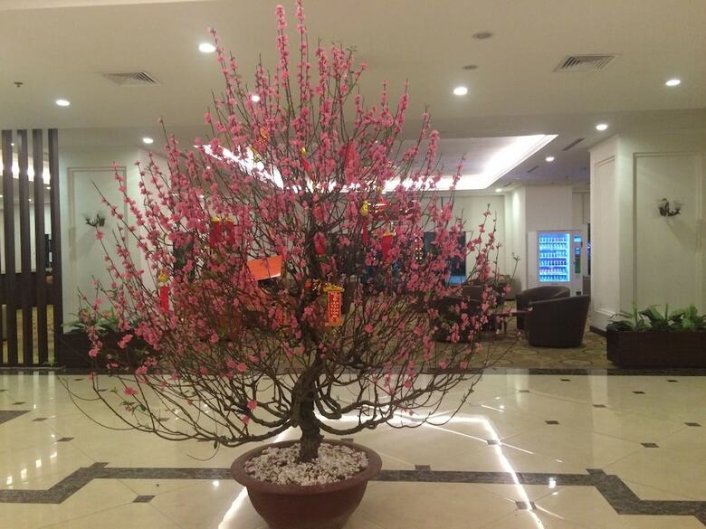 2 Bedrooms Times City Apartment Vinhomes