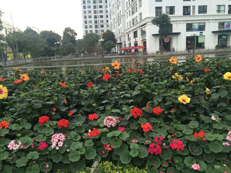 2 Bedrooms Times City Apartment Vinhomes