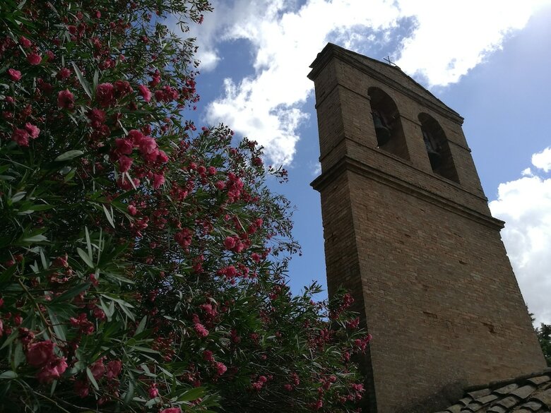 Casedigello