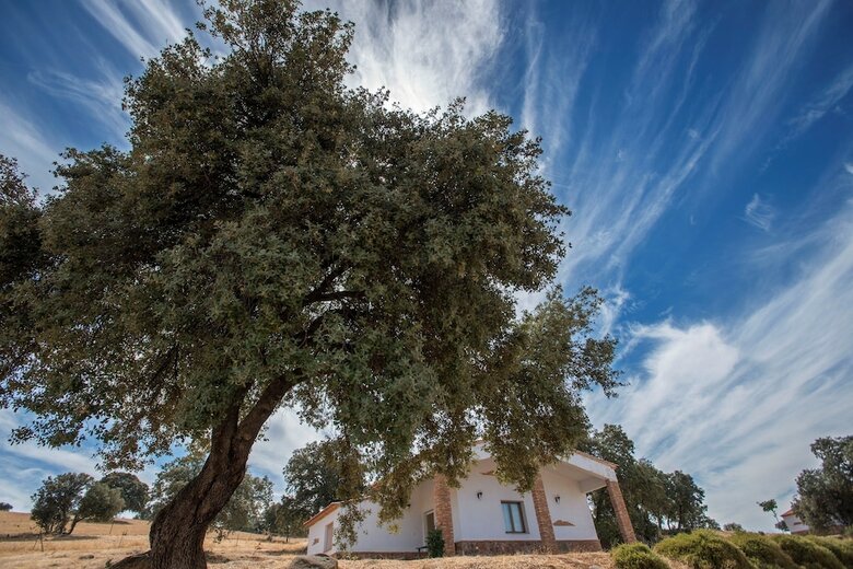 Apartamentos La Alde�lla