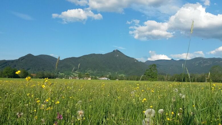 Apartamentos Zum Heisn