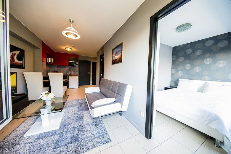 Renovated Apartment In Antwerp