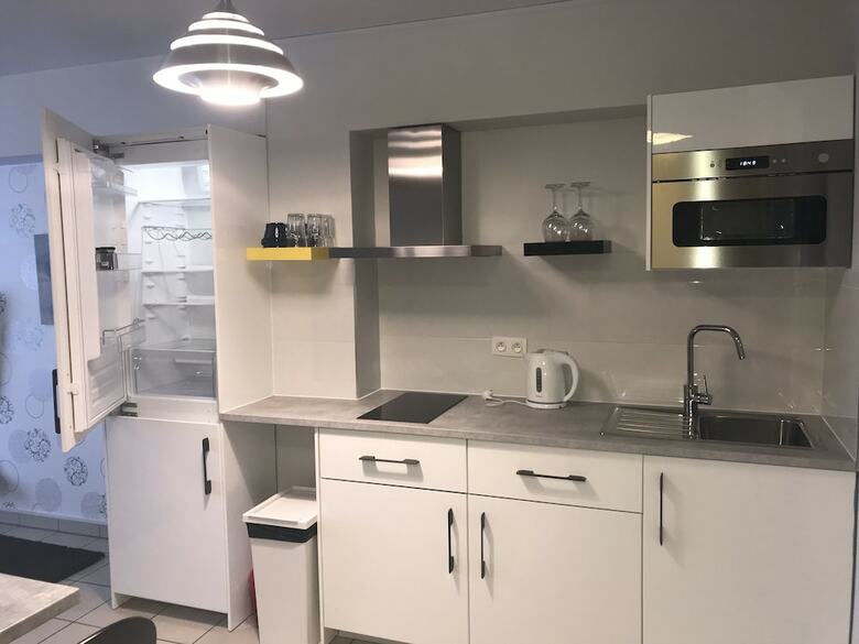 Renovated Apartment In Antwerp