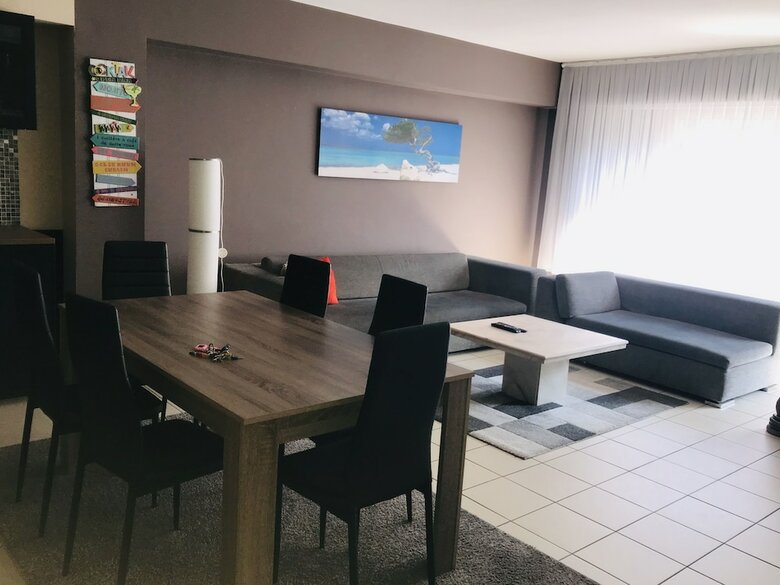 Renovated Apartment In Antwerp