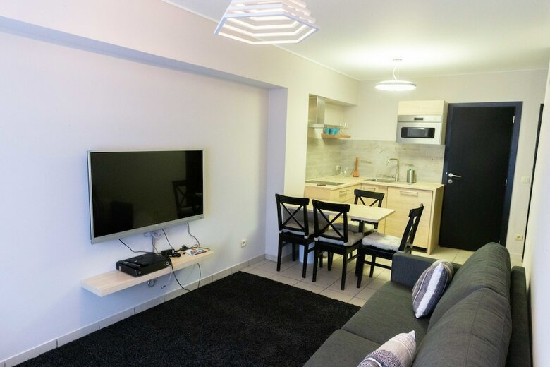 Renovated Apartment In Antwerp