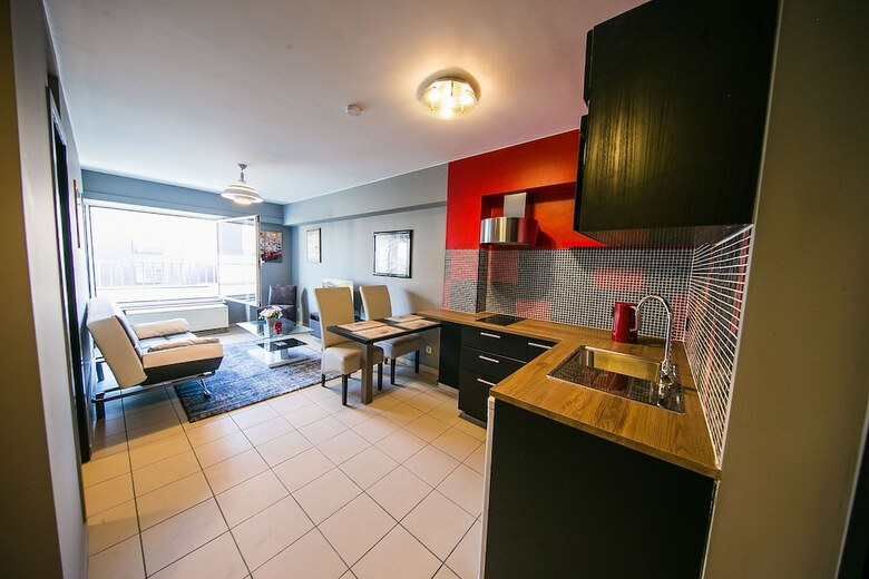 Renovated Apartment In Antwerp