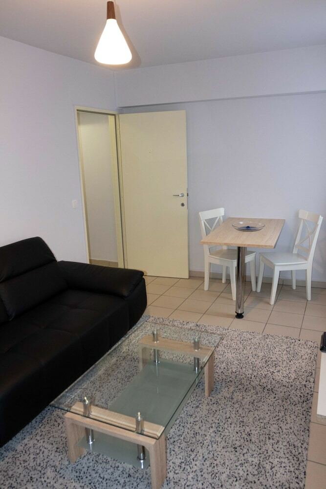 Renovated Apartment In Antwerp