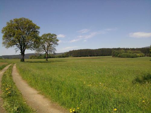 Apartamento Ferienwohnungen Reitinger