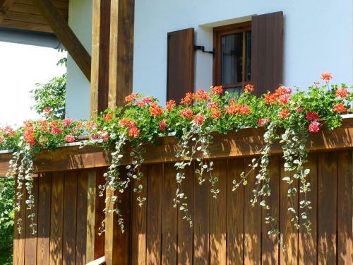 Apartamento Ferienwohnungen Reitinger