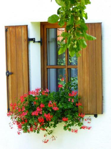 Apartamento Ferienwohnungen Reitinger