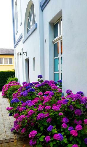 Hostal Hotel Zweilinden