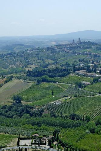 Bed & Breakfast Rocca Degli Olivi