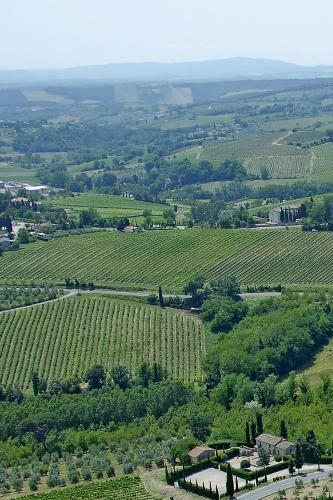 Bed & Breakfast Rocca Degli Olivi