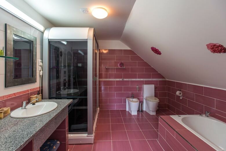 Hotel Ubytov�n� Star� Hut? - South Bohemia