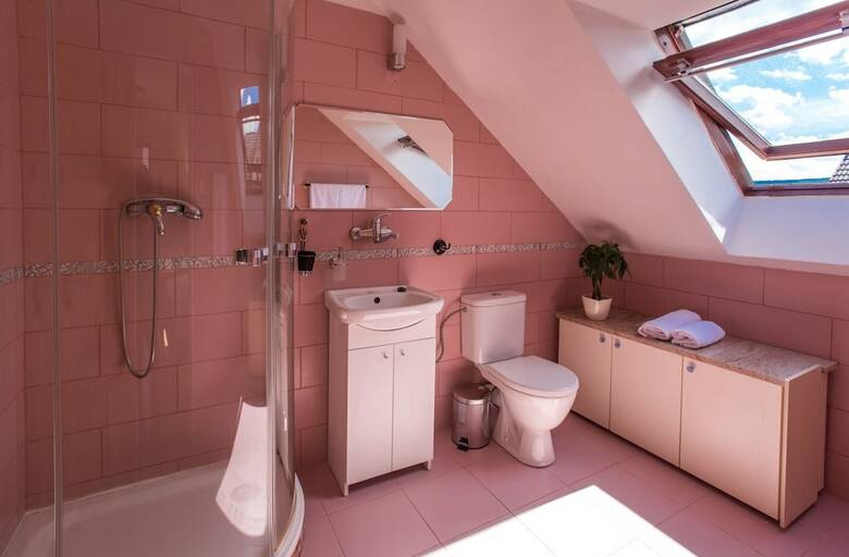 Hotel Ubytov�n� Star� Hut? - South Bohemia
